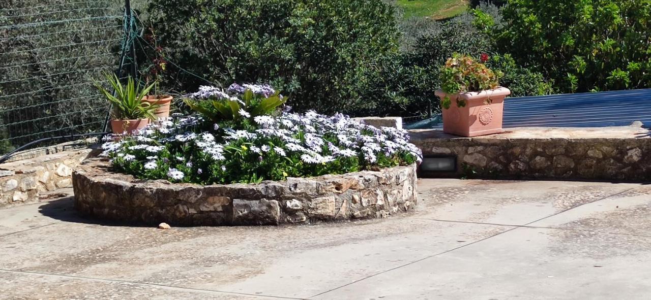 Home A&G Contrada Fumarola أوستوني المظهر الخارجي الصورة