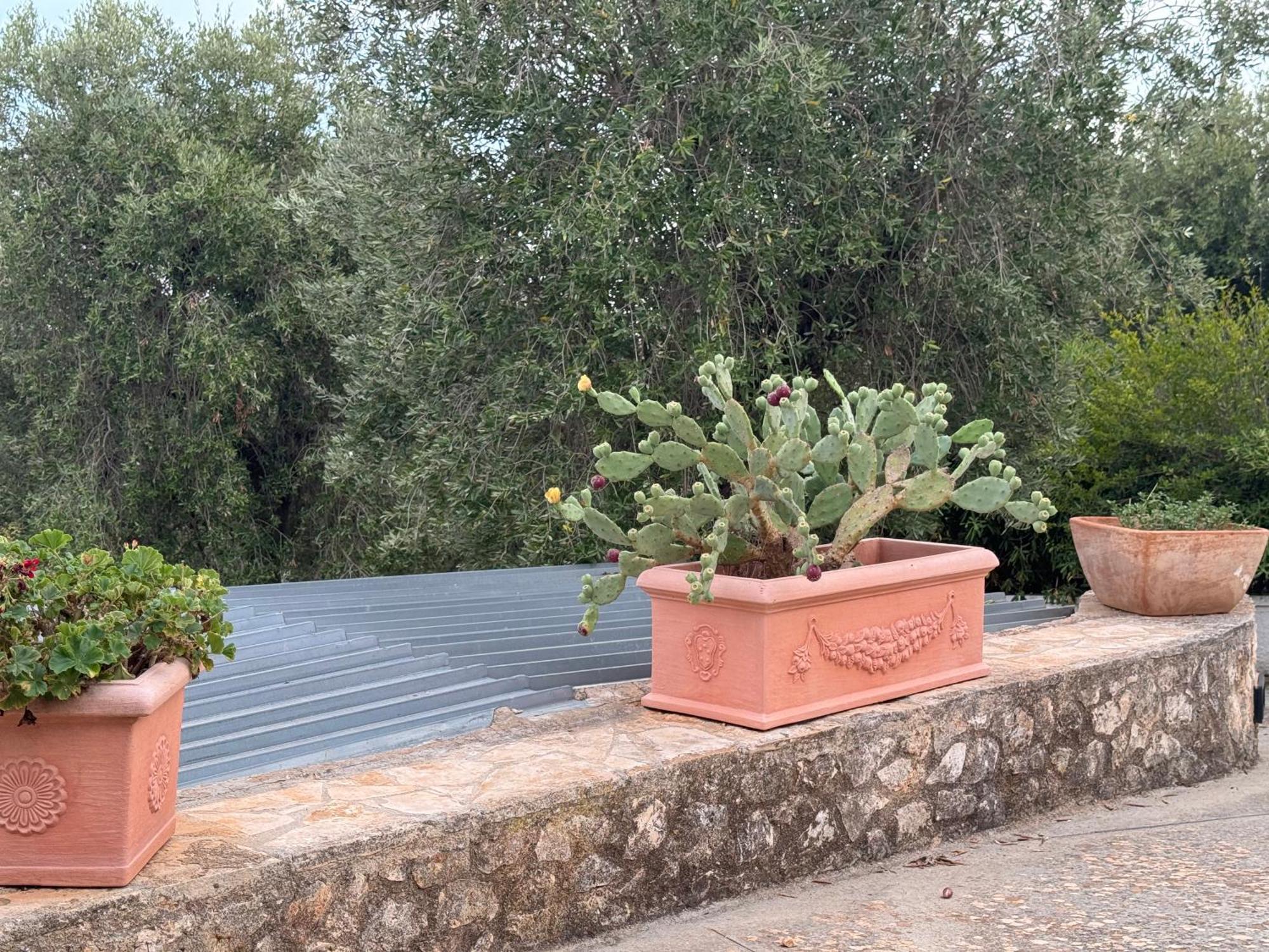 Home A&G Contrada Fumarola أوستوني المظهر الخارجي الصورة